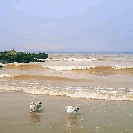 In Near The Beach, Cleaning Included * Nieuwpoort